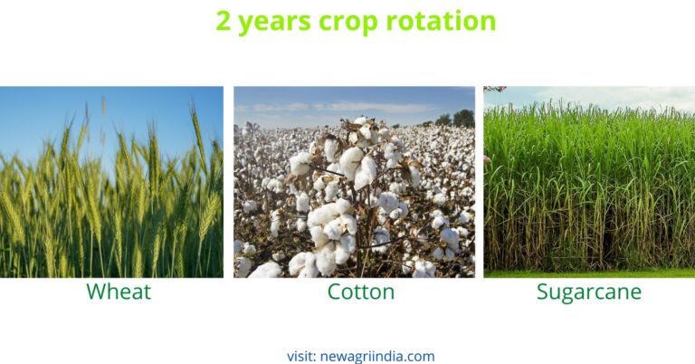 Crop Rotation and its advantages in agriculture