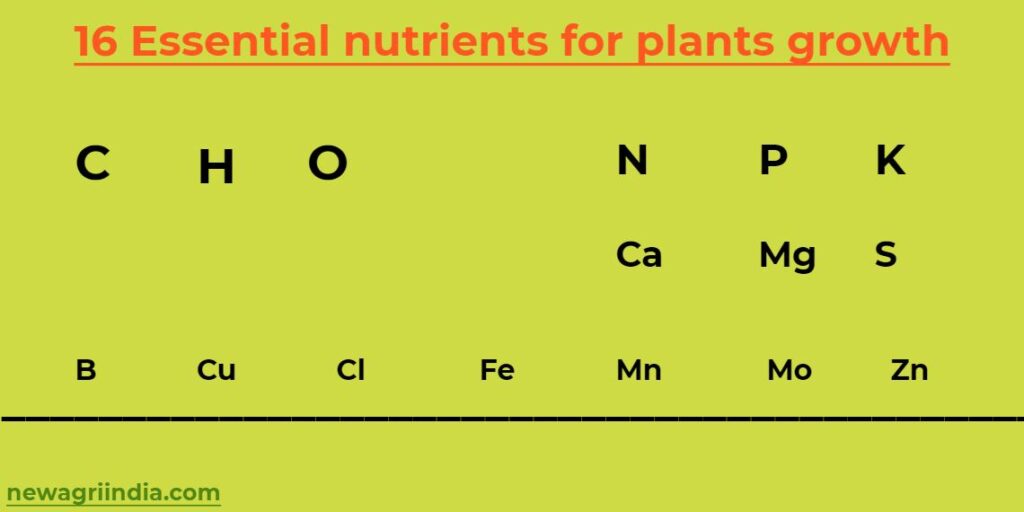 Essential nutrients for plants