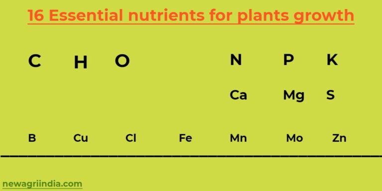 16 Essential Nutrients For Plants Growth