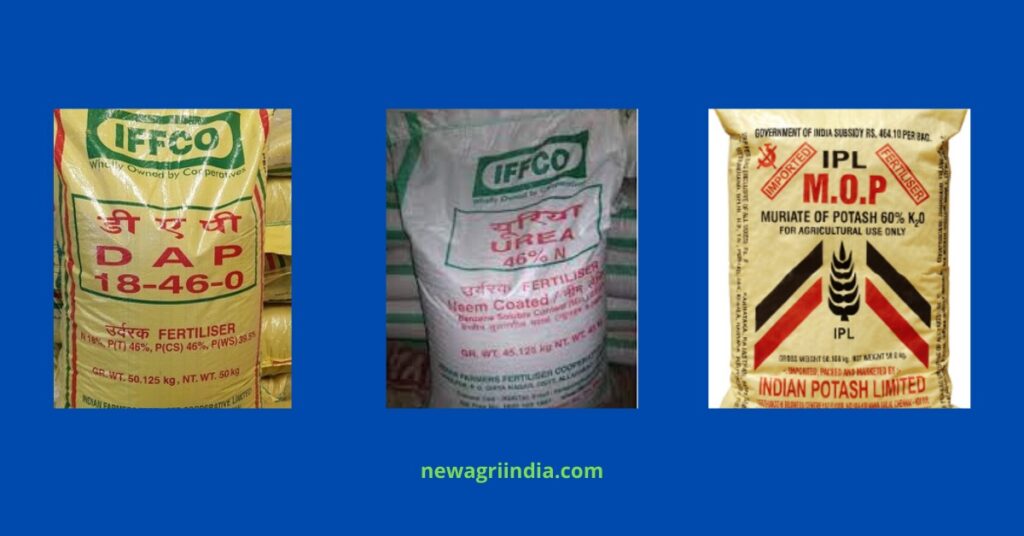 Fertilizers for wheat cultivation