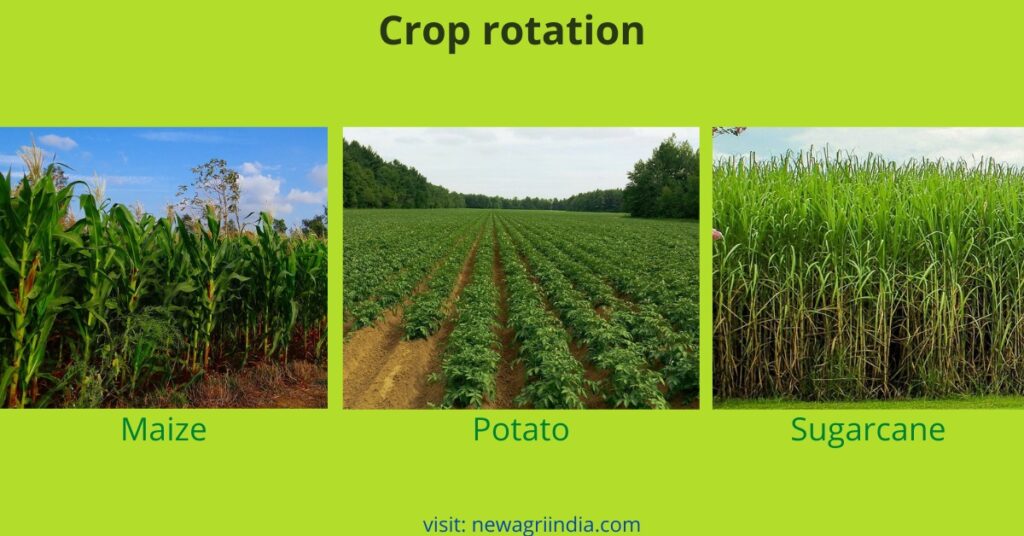 Crop Rotation and its advantages in agriculture