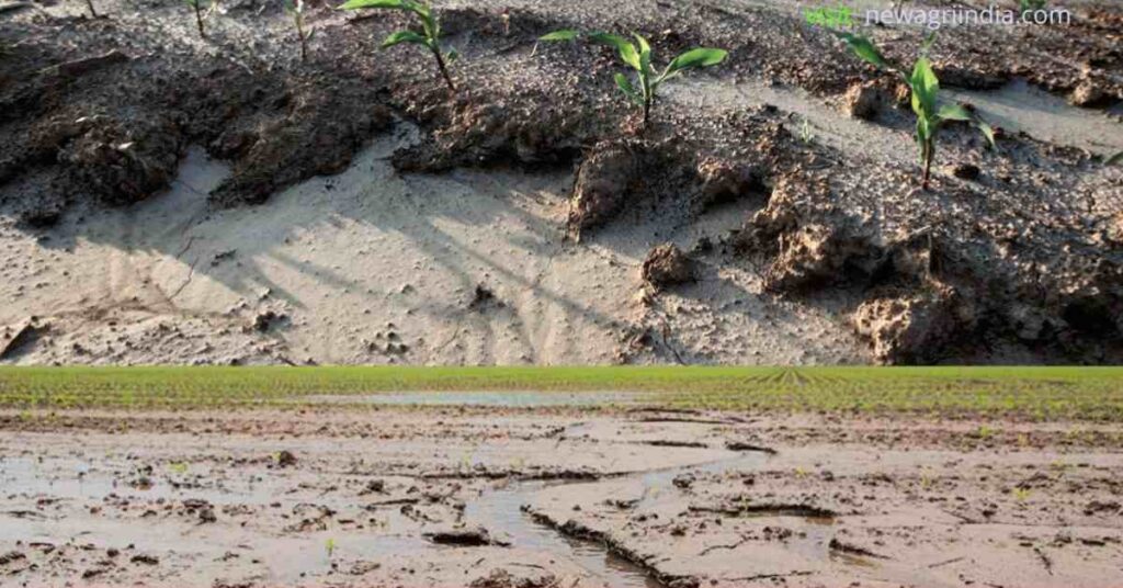 Soil erosion and soil conservation