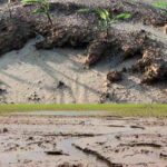 Soil erosion and soil conservation