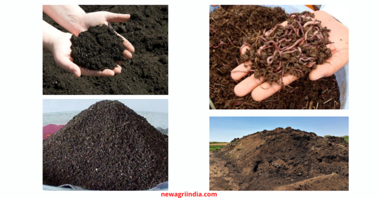 manures-and-fertilizers-and-their-classification