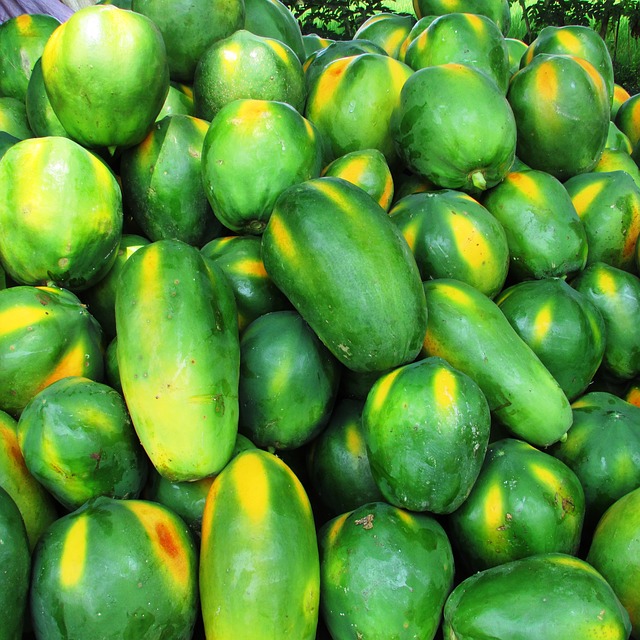 papaya yield