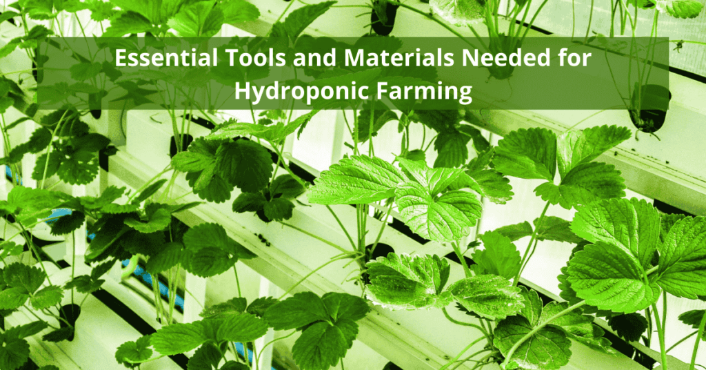 Essential Tools and Materials Needed for Hydroponic Farming