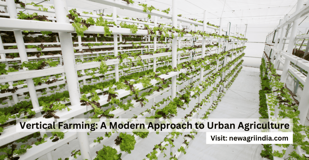 Vertical Farming: A Modern Approach to Urban Agriculture