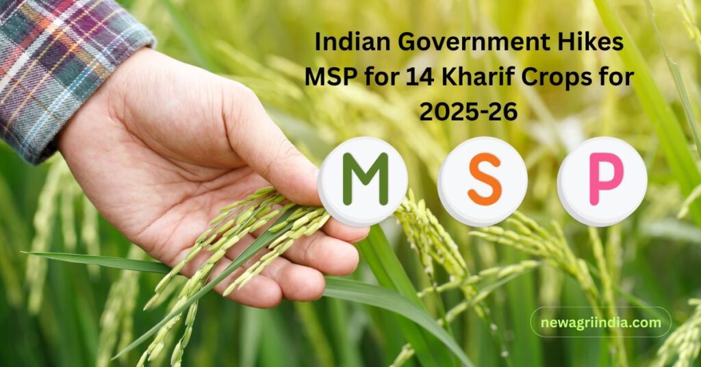 Indian Government Hikes MSP for 14 Kharif Crops for 2025-26